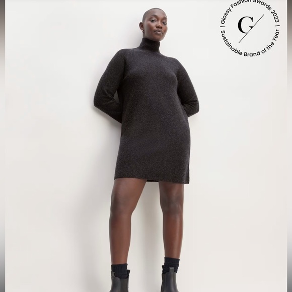 NWOT Everlane The Cozy Stretch Turtleneck Dress - large - Picture 5 of 9